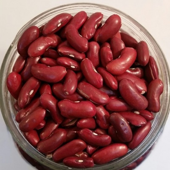 Haricots rognons rouges biologiques QC - 2.5 kg